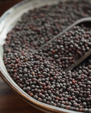 Black Mustard Seeds