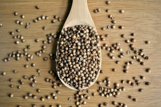 European Brown Coriander Seed - Image 2