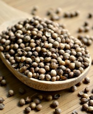 European Brown Coriander Seed