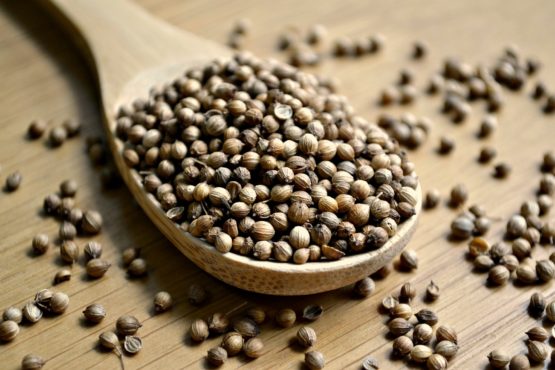 European Brown Coriander Seed