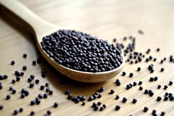 Black Mustard Seeds - Image 2