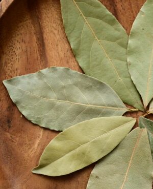 Bay Laurel Leaf